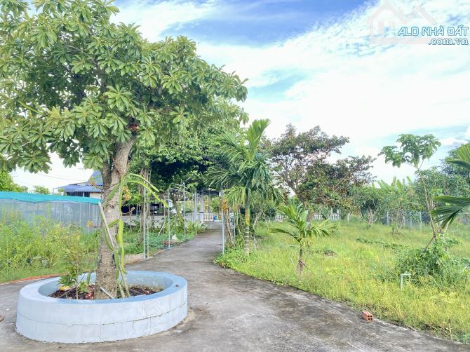 Nhà vườn _DT 2132 m2 có hồ sinh thái - thoáng mát - cây ăn trái, xã Tân Trạch, Cần Đước LA - 5