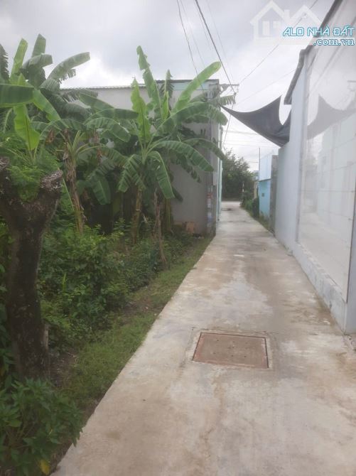 💎 Bán đất full thổ cư (11 x 27.5m) xã Yên Luông, cách Huyện Lộ 15 chỉ vài bước chân - 5