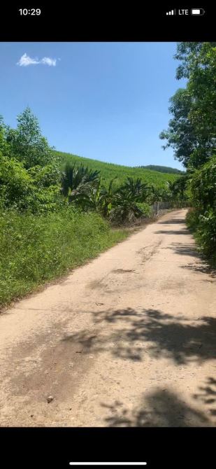 CƠ HỘI HIẾM - ĐẤT LÀM FARM NGHỈ DƯỠNG, SUỐI CHẢY QUANH NĂM MẮT MẺ TẠI KHÁNH NAM KHÁNH VĨNH - 6