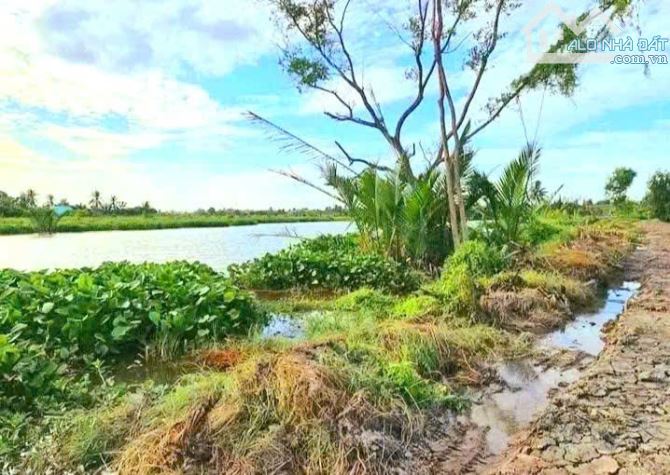 Siêu phẩm, 500m2 đất vườn View Sông cực đẹp, chỉ 500tr - 6