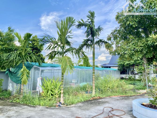 Nhà vườn _DT 2132 m2 có hồ sinh thái - thoáng mát - cây ăn trái, xã Tân Trạch, Cần Đước LA - 6