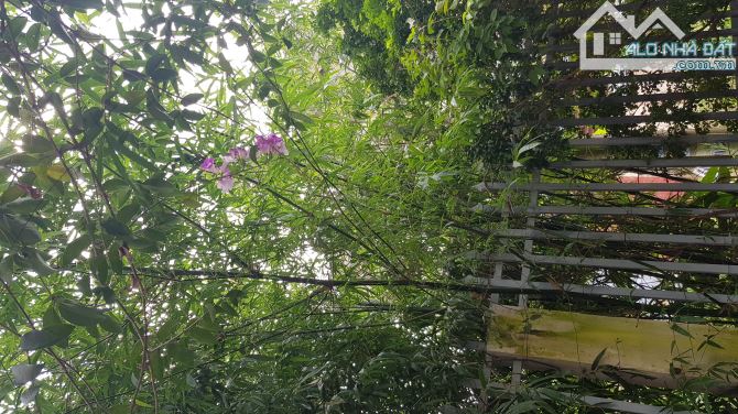 Cho thuê  phòng có wc riêng, an ninh, sân vườn thoáng mát, ban công riêng - 6