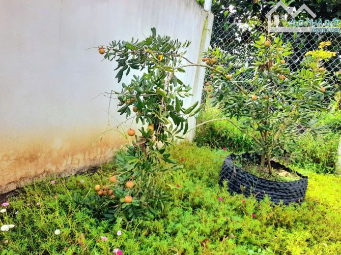 nhà vườn 500m2 đất View Sông cực đẹp chỉ 980 triệu - 6