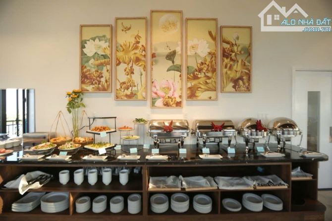 Khách Sạn 4 Sao 12 Tầng - Lô Góc 2 Mặt Tiền An Tư Công Chúa – 258m² – Giá Chỉ 75 Tỷ. - 6