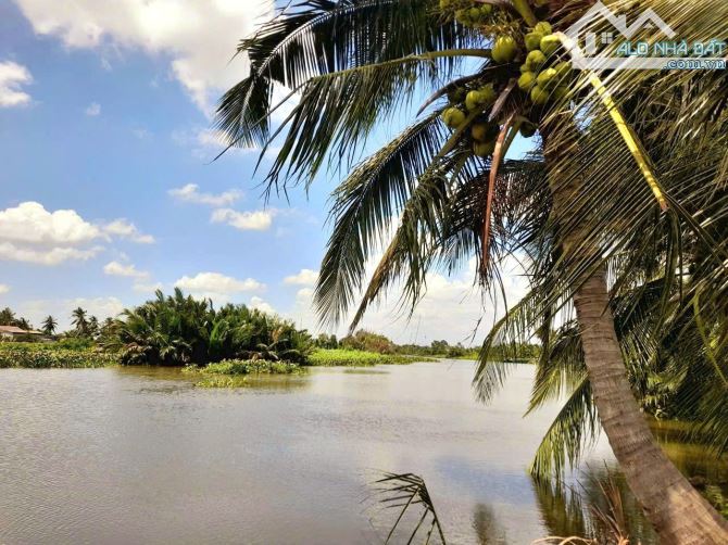 Siêu phẩm, 500m2 đất vườn View Sông cực đẹp, chỉ 500tr - 7