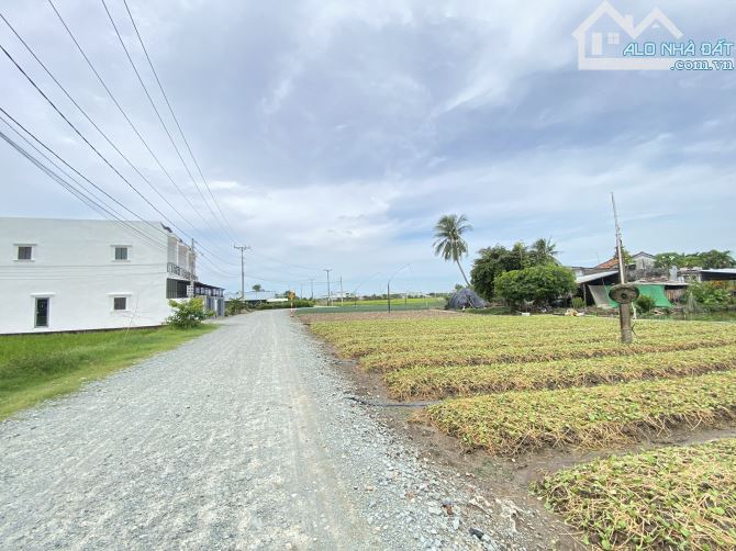 Nhà vườn _DT 2132 m2 có hồ sinh thái - thoáng mát - cây ăn trái, xã Tân Trạch, Cần Đước LA - 7