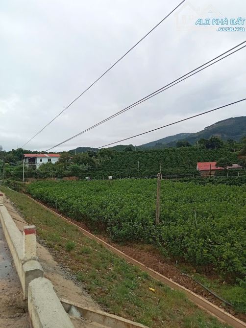 TÔI CHÍNH CHỦ CẦN NHƯỢNG LẠI - LÔ ĐẤT Ở - 30M MT ĐƯỜNG DT725 - HỒ MÊ LINH - ĐÀ LẠT - 8