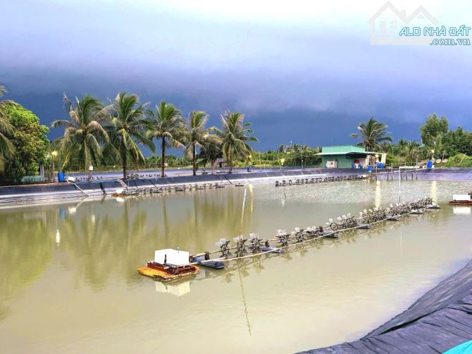nhà vườn 500m2 đất View Sông cực đẹp chỉ 980 triệu - 8