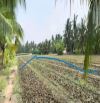 Tôi chủ. Bán đất Chợ Gạo - Tiền Giang 1200m2 CLN giá rẻ 650tr