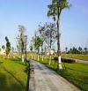 HÀNG CỰC ĐẸP KĐT PHÚ MỸ VỊ TRÍ ĐẦU CỔNG, SẠCH ĐẸP SỔ SẴN KHÁCH KHÔNG NÊN BỎ LỠ