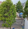 BIỆT THỰ MẶT TIỀN ĐƯỜNG NGUYỄN THÀNH PHƯƠNG - P.TRẤN BIÊN