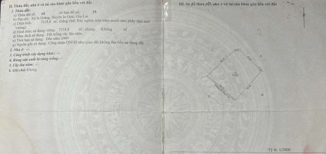 Sang 7sào đất sườn đồi núi cây lâu năm