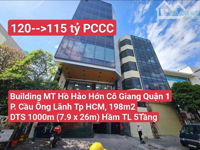 Building Mặt Tiền Hồ Hảo Hớn, Cô Giang Quận 1 P. Cầu Ông Lãnh Tp HCM