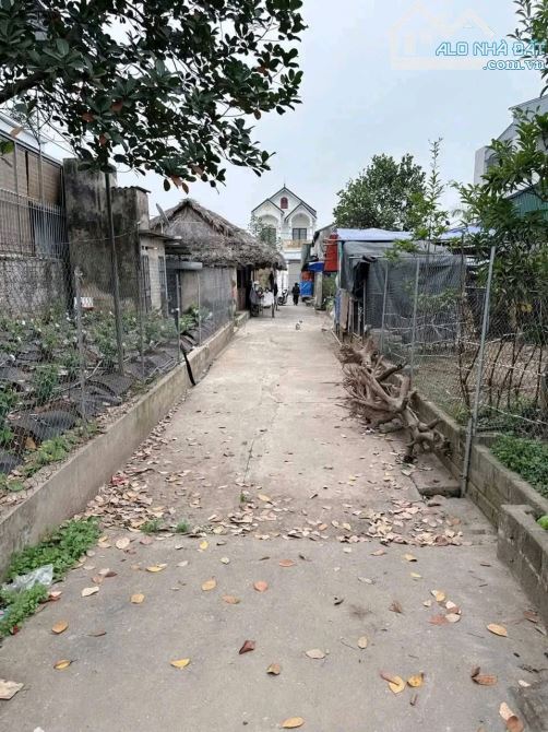 💥60m_Cơ Giáo_Hồng Vân_Thường Tín_HN  💲Giá chỉ 36 tr/m  **Diện tích sổ 60 m2,  **mt vs ms