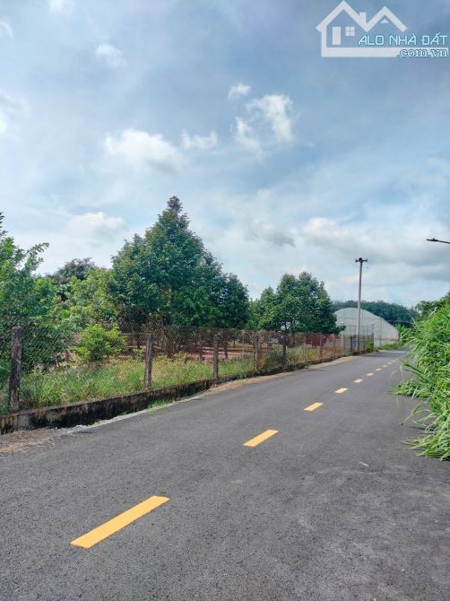 Bán gấp 550 triệu\ 173.9m2 - đất phú giáo- bình dương gần chợ, gần KCN 1000ha