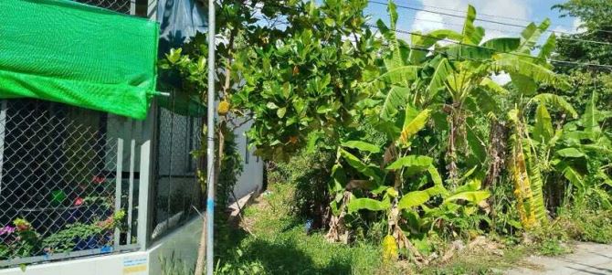 Bán đất 84 m2 rạch Ngã Bát đường Trương Vĩnh Nguyên 900 triệu