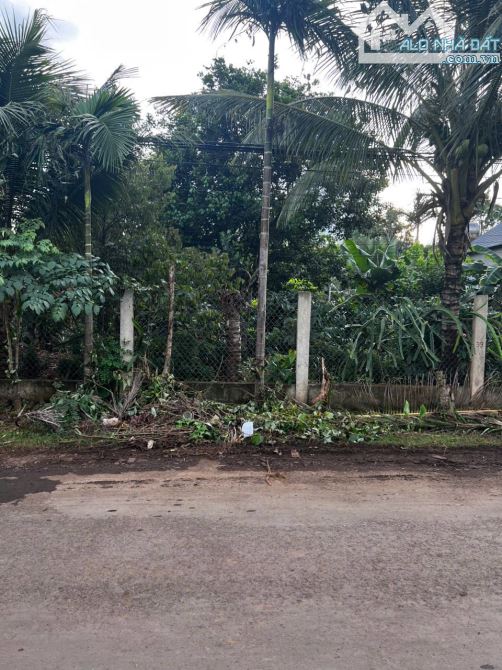 Bán lô đất mặt tiền mậu thân đường quy hoạch rộng 30 mét