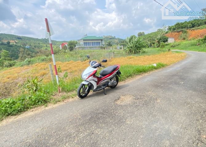 GIÁ TỐT! Bán đất mặt tiền Blaosere, Lộc Thành Bảo Lâm, Bảo Lộc.✅ ĐẤT THỔ CƯ