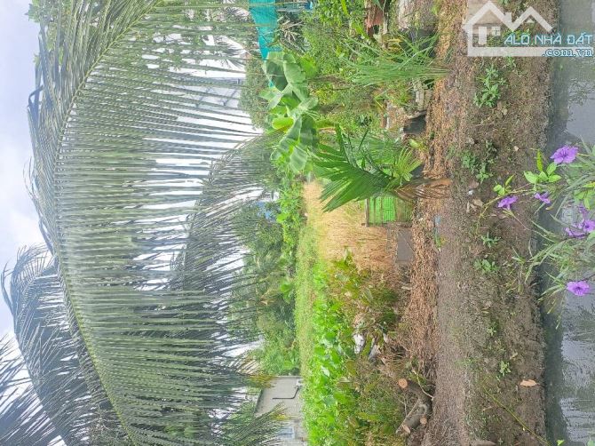 ĐẤT FULL THỔ – VEN SÔNG THẠNH XUÂN 33 – 200M² – CHỈ 7.5 TỶ (≈ 30TR/M²)