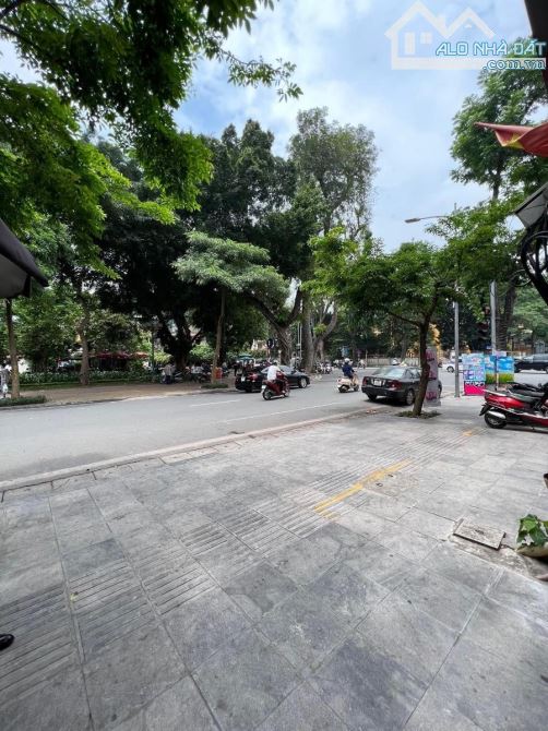 Bán nhà lô góc Nguyễn Du 50m² × 7 tầng, thang máy, ô tô, kinh doanh, giá 34 tỷ