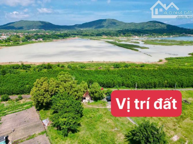 Đất ven biển Đối Diện hồ 186m2 ngang 5x38m Quy hoạch đường A5 lớn đi thẳng Biển Phước Hải - 5
