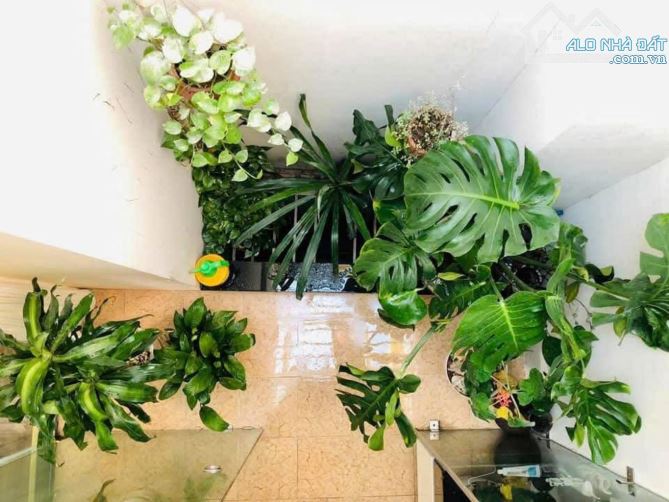 Phúc Xá, Ba Đình 40m x 5 Lô góc , phân lô bàn cờ, nhà dân xây - 2