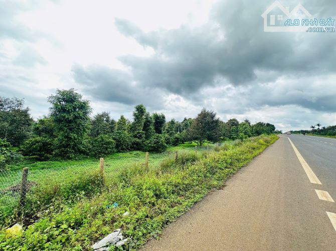 Cần Bán Lô Đất Mặt Tiền Tránh Đông Xã Hoà Đông Huyện Krông Pắc ĐăkLăk - 1