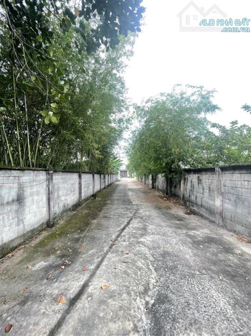 Củ Chi: Bán Gấp 4740m2 Đất Đường  Nhuận Đức, 78x55m, Giá Chỉ 22 Tỷ! Sổ - 1