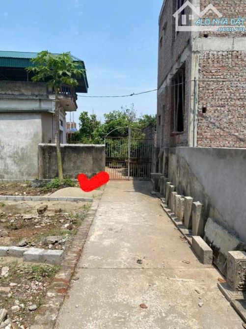 💥60m_Cơ Giáo_Hồng Vân_Thường Tín_HN  💲Giá chỉ 36 tr/m  **Diện tích sổ 60 m2,  **mt vs ms - 1