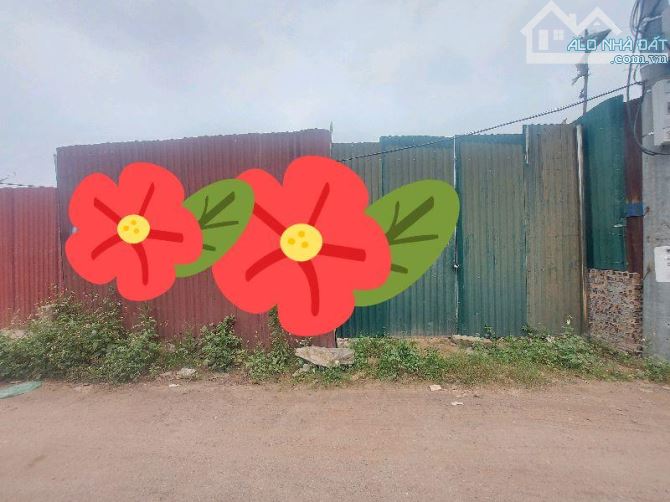 PHỐ THẠCH CẦU.LONG BIÊN: 2 MẶT NGÕ Ô TÔ TRÁNH_DT SIÊU RỘNG 530M_HỢP LÀM KHO XƯỞNG_GIÁ 4TỶ8 - 1