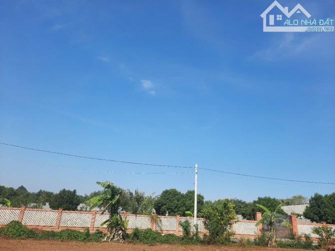 BÁN LÔ ĐẤT SÀO NGÃI GIAO XÃ BÌNH BA HUYỆN CHÂU ĐỨC - 1
