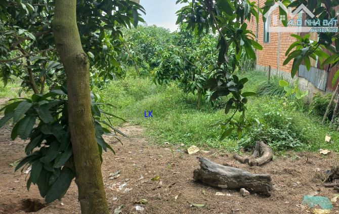 🔰 Bán 3 nền liền kề: Đường nhựa 3.5m (đang thi công), xã Mỹ Thọ, Đồng Tháp - 1
