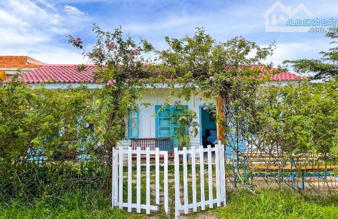 KHU VIP - KHAN HIẾM, Bán GIÁ TỐT Villa sân vườn Khu Đồi Trà, gần Đồi Cù, 500m2, ngang 20m - 1
