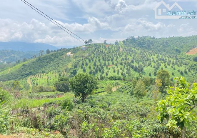 GIÁ TỐT! Bán đất mặt tiền Blaosere, Lộc Thành Bảo Lâm, Bảo Lộc.✅ ĐẤT THỔ CƯ - 1
