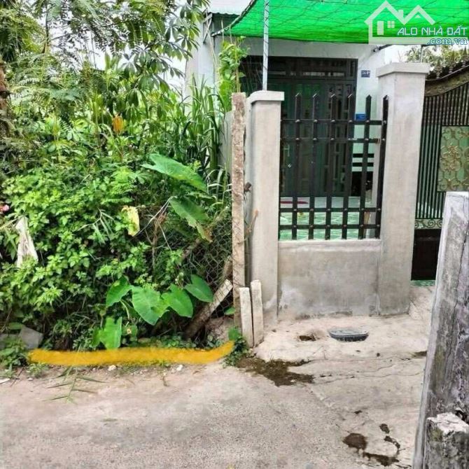 Bán đất 72 m2 thổ cư đường Nhật Tảo 1,15 tỷ - 1