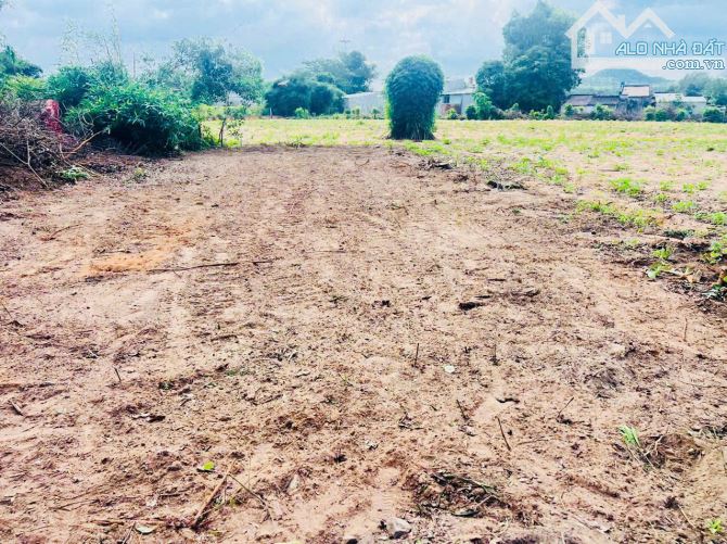 Bán lô đất TT Phước Bửu  nay là xã Hồ Tràm - tp Hồ Chí Minh - 1