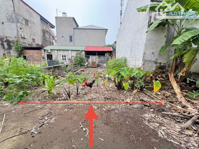 Bán 52,5m đất Bạch Đa, Kim Hoa, ML. Gần đường vành đai 4 và CTy HonDa - 1
