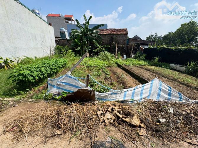 Đất đẹp Bạch Đa, Kim Hoa, Mê Linh. Lô đất nhỏ, siêu hiếm - 1
