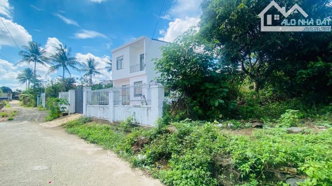 Bán đất hẻm 29 Tuệ Tĩnh Giá 2.550 Triệu - 1
