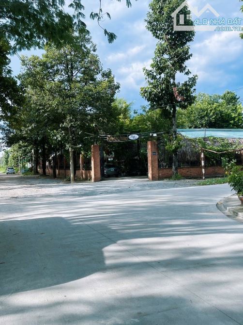 BÁN ĐẤT VIEW SÔNG 323M2 NGANG 12M NGAY CỔNG KDC VĨNH PHÚ, SAU CC EHOME4, NHÀ PHỐ THUẬN AN - 1