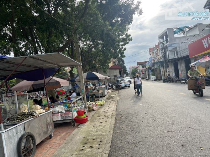 Chủ nhờ bán nhanh 100m full trục chính gần chợ -Dược Hạ-Tiên Dược - 1