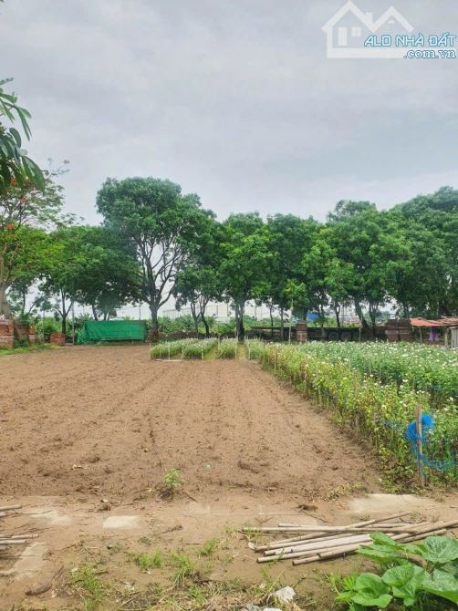Cần chuyển nhượng lô đất PHÂN LÔ QUÂN KHU 3 Nam Hải Hải An Hải phòng . Diện tích 89m - 1