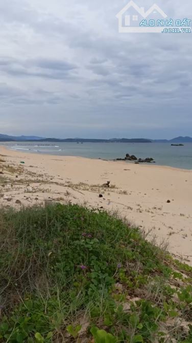 Bắt đầu sốt lại rồi! Bán Đất Mặt Biển Phú Yên Chính Chủ 24.000m2 Sổ Hồng - 13
