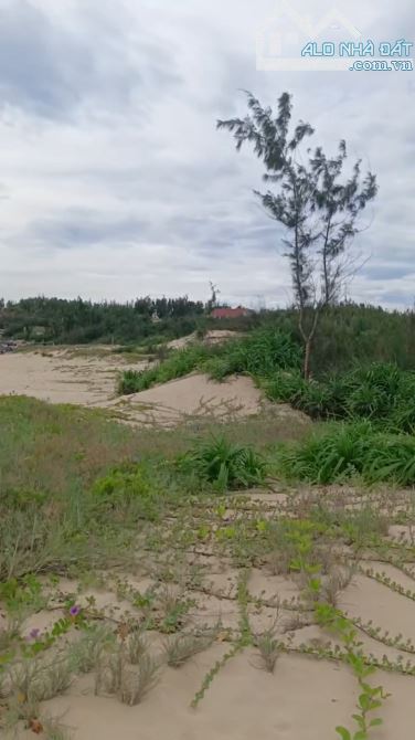 Bắt đầu sốt lại rồi! Bán Đất Mặt Biển Phú Yên Chính Chủ 24.000m2 Sổ Hồng - 15