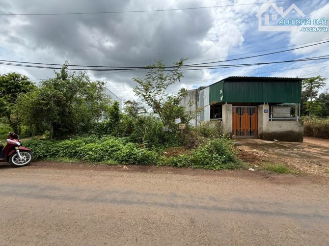 LÔ ĐẤT TRỤC CHÍNH THÔN 12 EATU KOTAM THÔNG QUA 25b ĐẠT LÝ: GIÁ 1.08 tỷ - 2