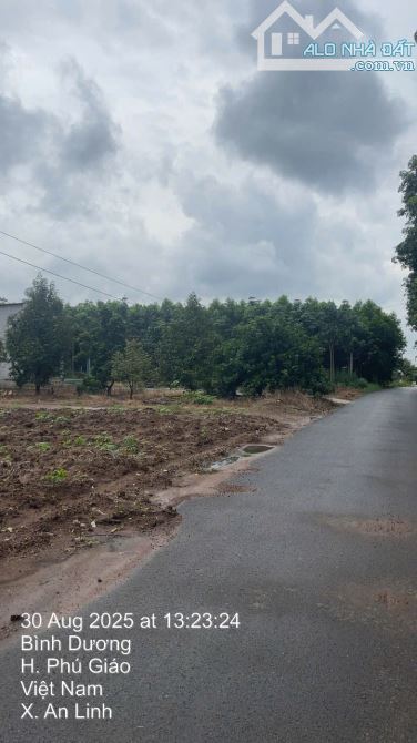 Bán đất xã An Linh – Phú Giáo 225m², thổ cư 100m², sổ riêng – Gần chợ, tiện ích đầy đủ! - 2