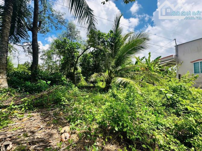 Đất nền view sông phường Tân Ngại tỉnh Vĩnh Long - 2