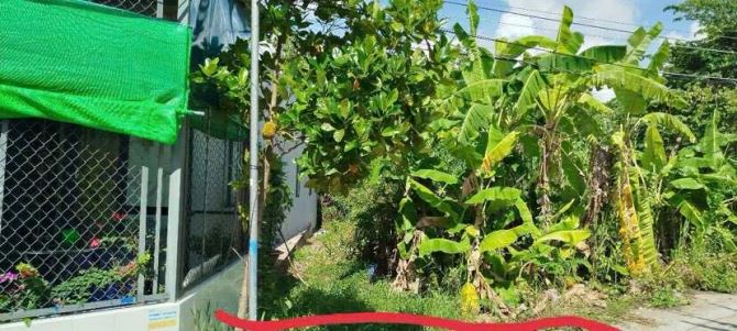 Bán đất 84 m2 rạch Ngã Bát đường Trương Vĩnh Nguyên 900 triệu - 2