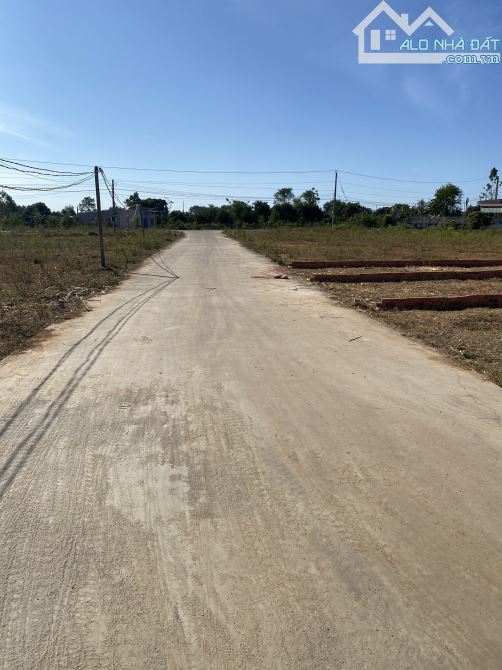 BÁN 6 LÔ ĐẤT SÔNG XOÀI - PHÚ MỸ ĐƯỜNG BÊ TÔNG CÁCH ĐƯỜNG NHỰA 183m2 CHỈ 1,370 TỶ - 2
