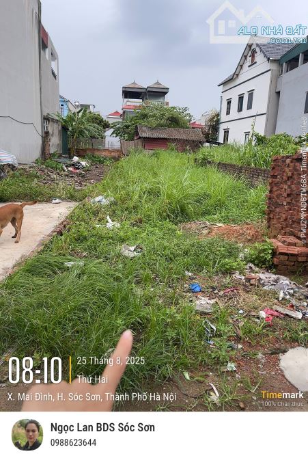MAI ĐÌNH – 120M² – MT 4.6M – Nhinh 3 TỶ – Ô TÔ TRÁNH - 2